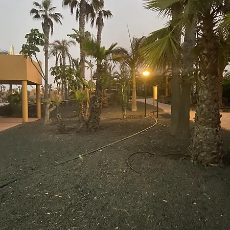 Oasis Papagayo Dreams