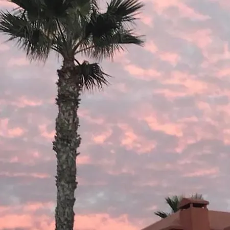 Oasis Papagayo Dreams * 科拉雷侯